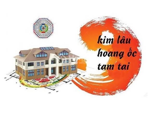 Người đàn ông đang xem xét bản vẽ nhà