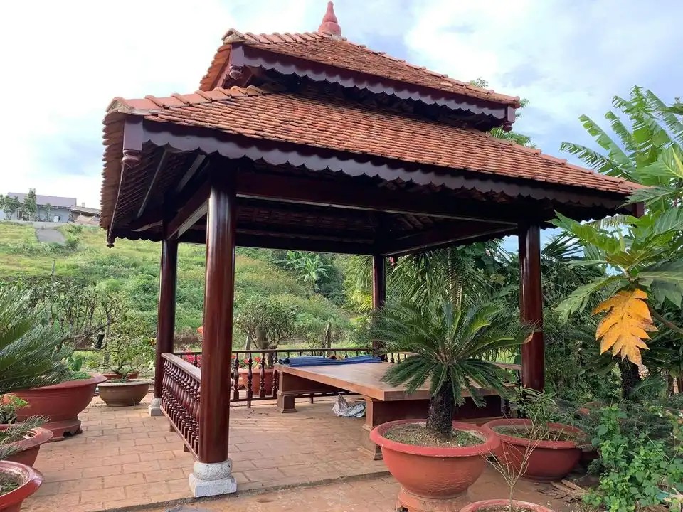 Chòi tứ giác