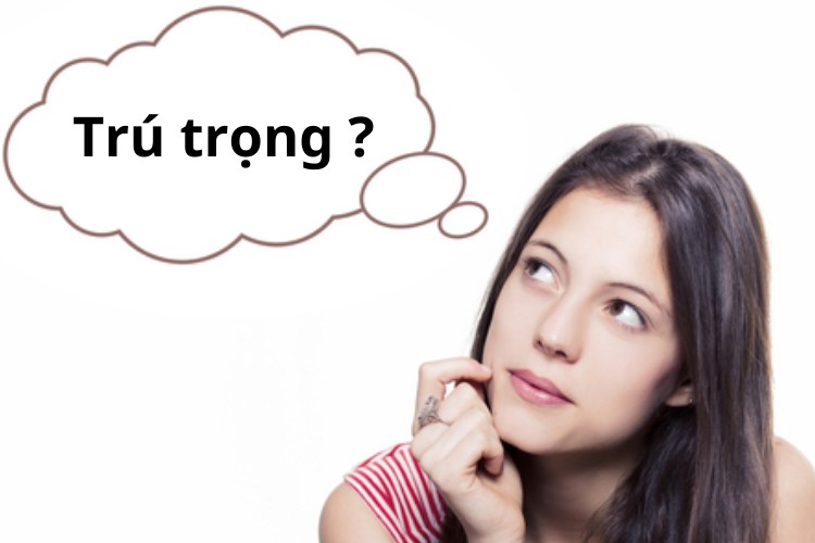 Chú trọng hay trú trọng 1