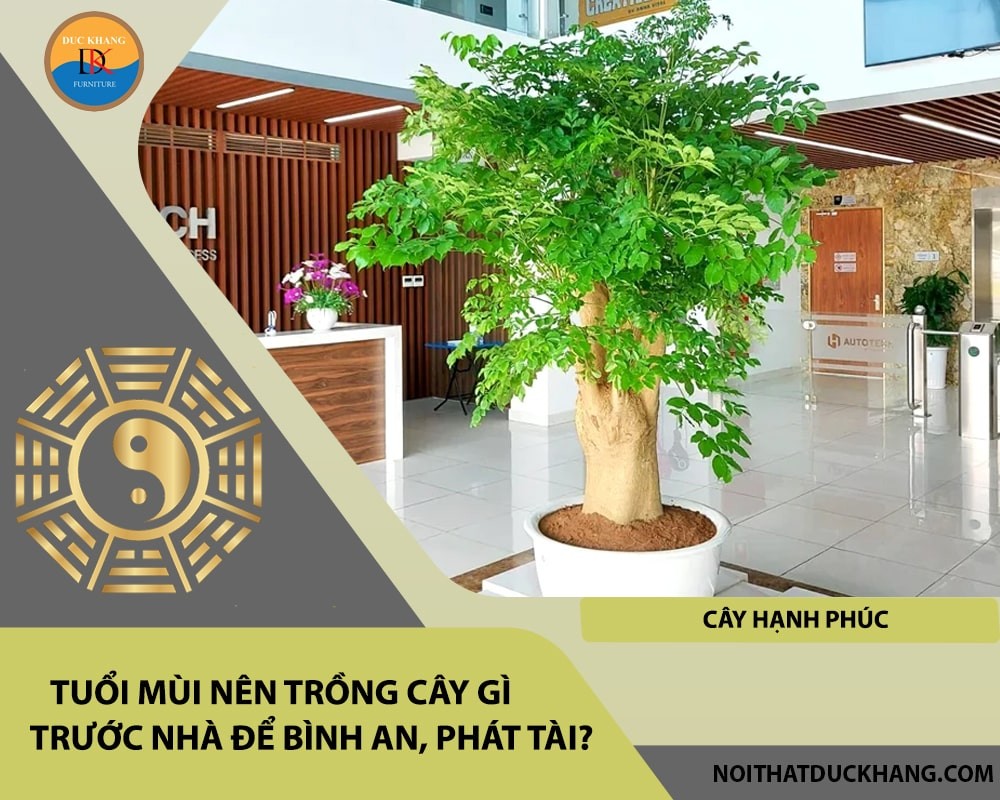 Cây hạnh phúc mang lại ý nghĩa tốt đẹp cho gia chủ tuổi Mùi.