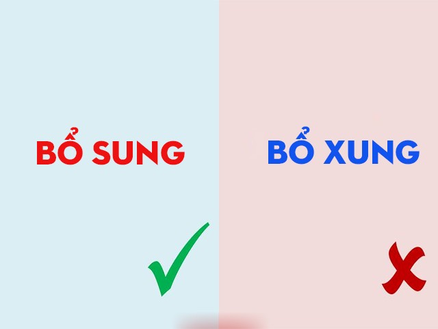 Người phụ nữ đang làm việc với máy tính