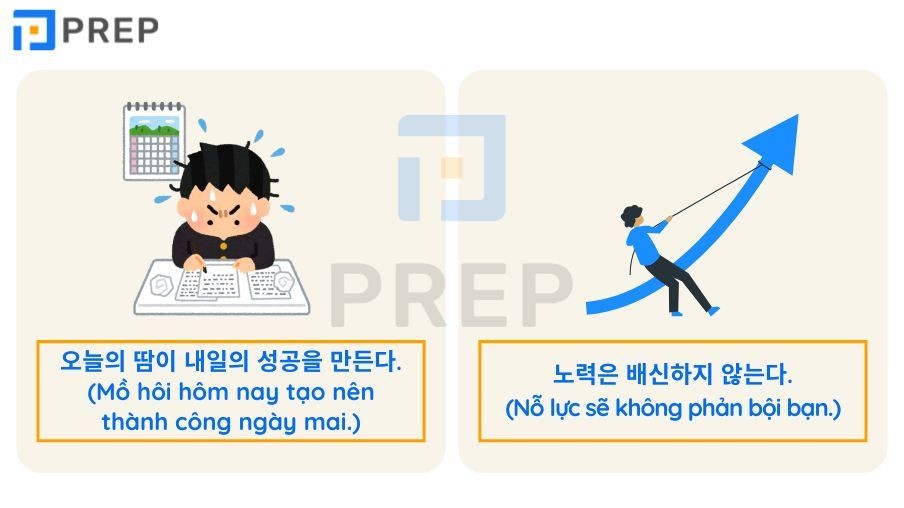 Minh họa cho những câu nói hay về cuộc sống bằng tiếng Hàn