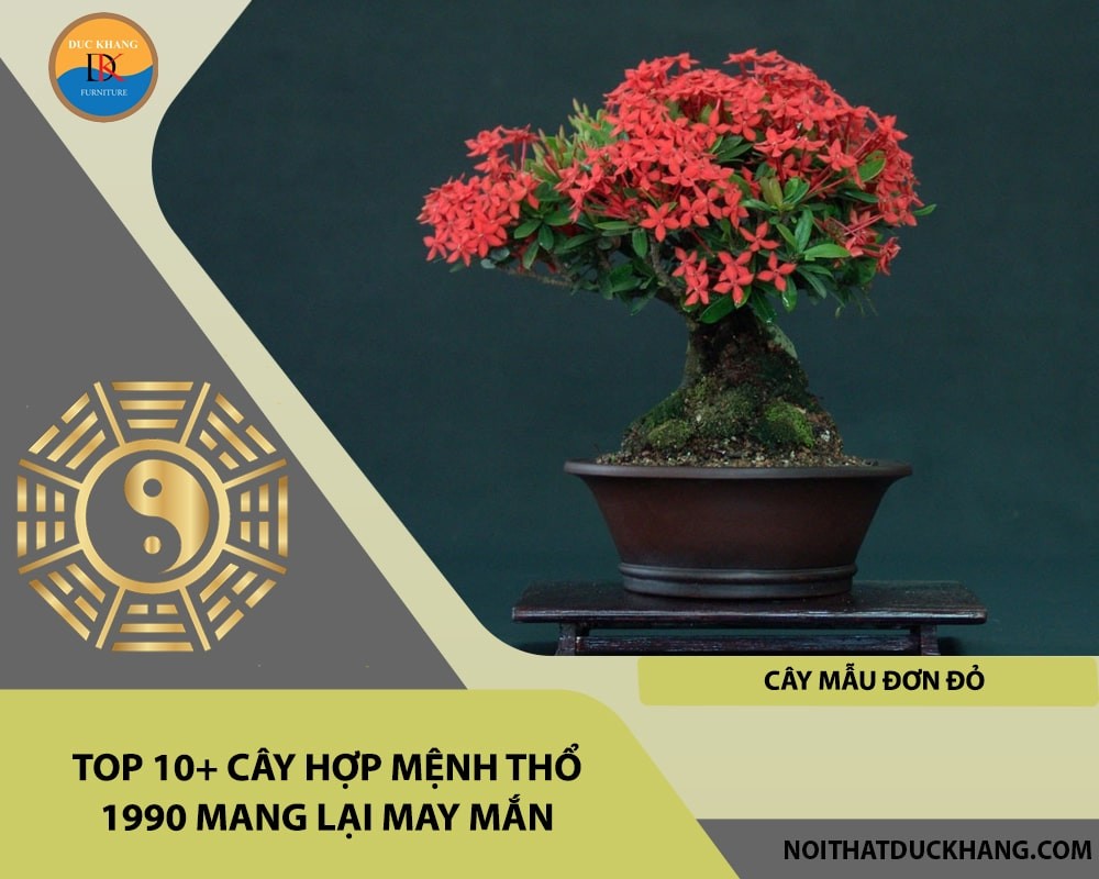 Cây mẫu đơn đỏ mang lại may mắn cho tuổi Canh Ngọ