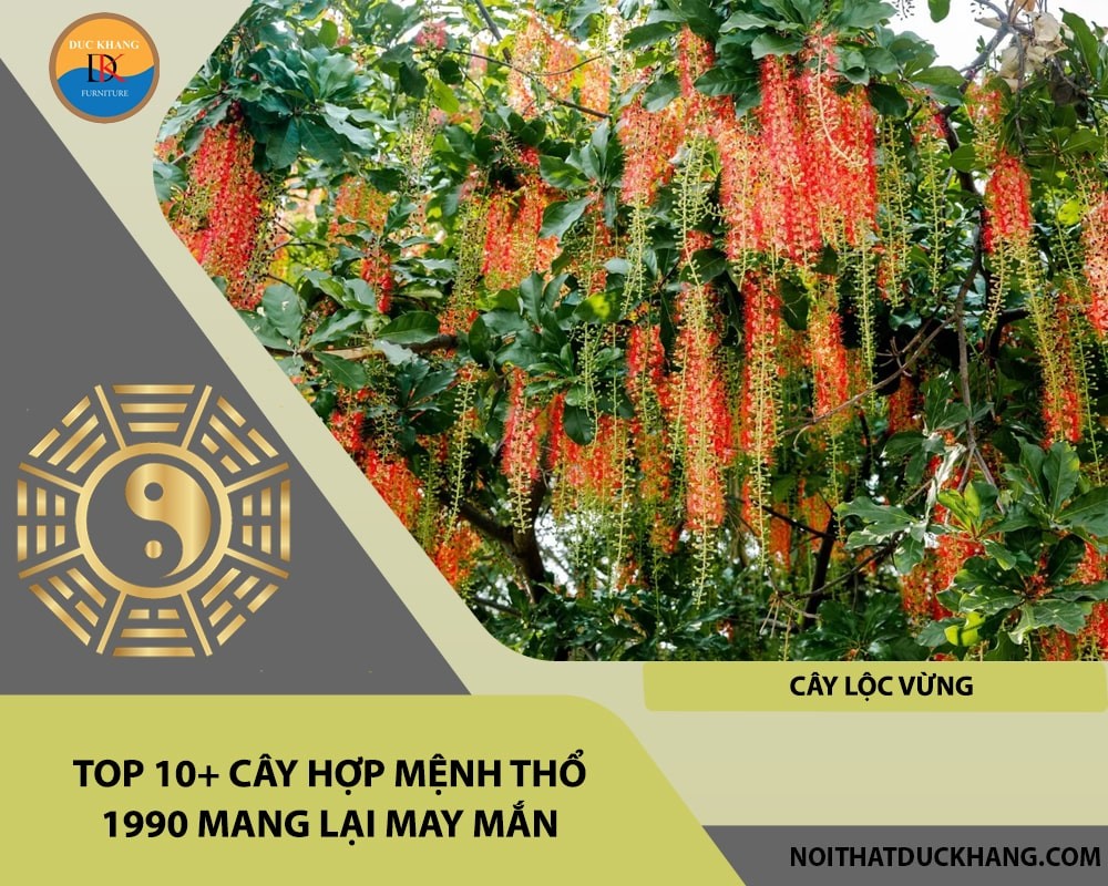 Cây lộc vừng hợp mệnh Thổ 1990