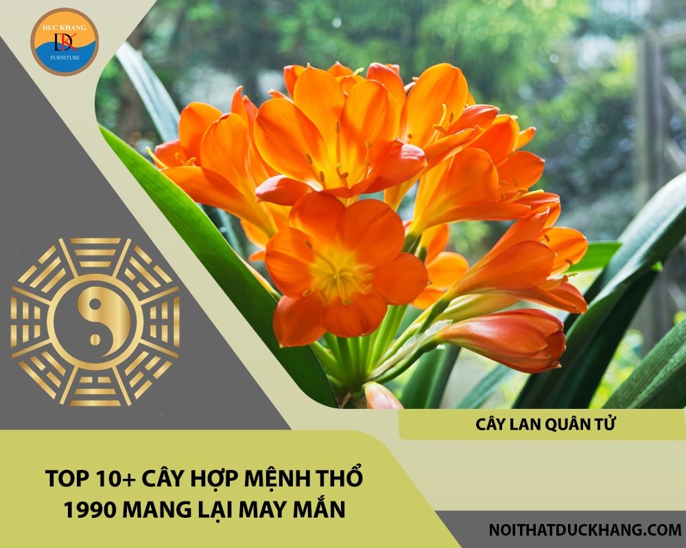 Cây lan quân tử hợp mệnh Thổ 1990