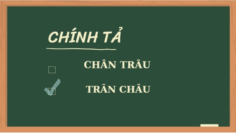 minh họa trân châu