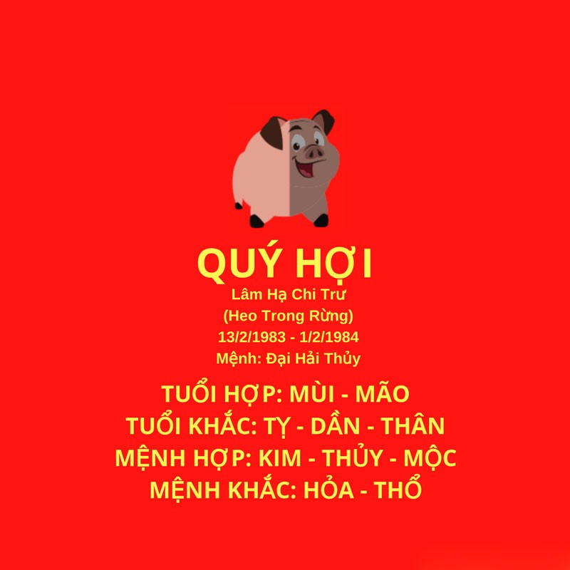 Tư vấn phong thủy cho người tuổi Quý Hợi về hướng nhà
