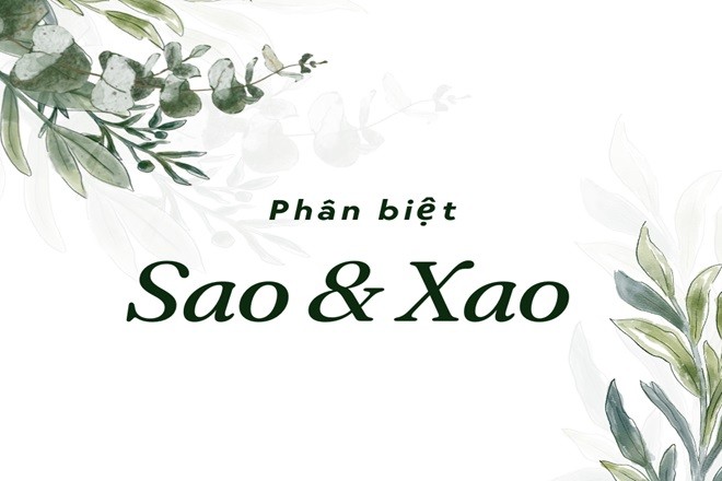 Cảnh sát phong tỏa và khám nghiệm khu vực phát hiện thi thể nạn nhân