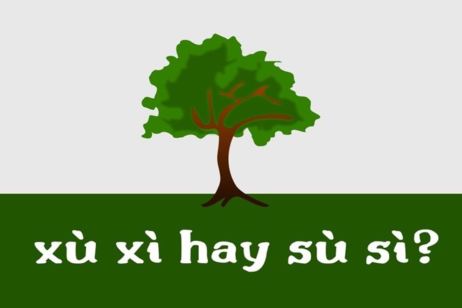 Bề mặt vỏ cây có nhiều nếp nhăn, sần sùi